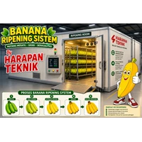 Pressure Chamber System for Banana Ripening Pressurized Ripening Room
