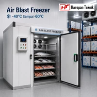 Air Blast Freezer ABF Custom